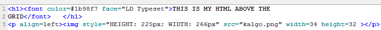 HTML in Freeform Edit Region dialog